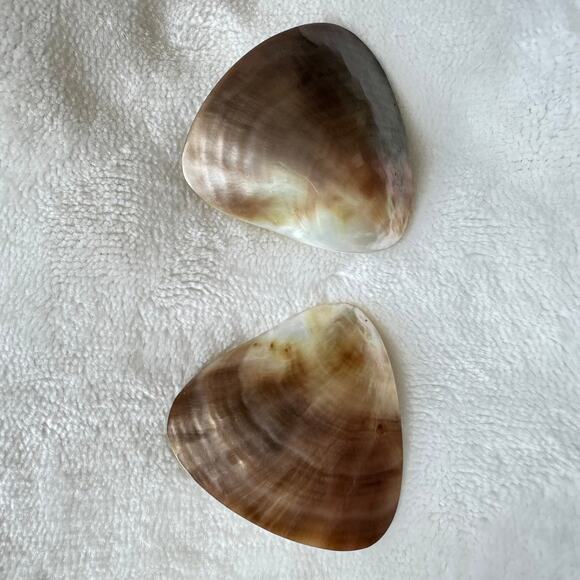 Pair of Vintage 1980s Sea Shell Clip On Earrings with Stretchy Bracelet - Picture 4 of 10